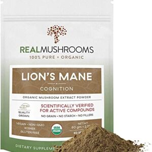 Buy Lion’s Mane Mushroom